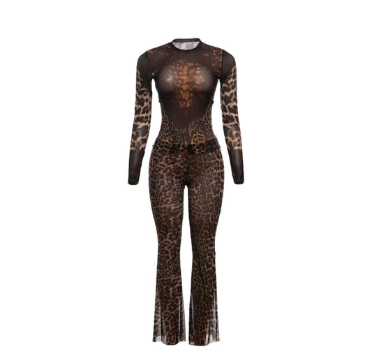 Cheetah Set
